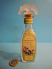 SUPREME VIOLET BACORNS USA