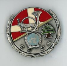 CHASSEURS  27° BCA  CCOS