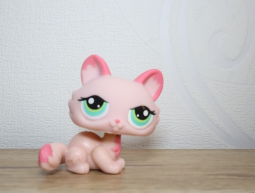 Littlest petshop cat - cat, sphynx