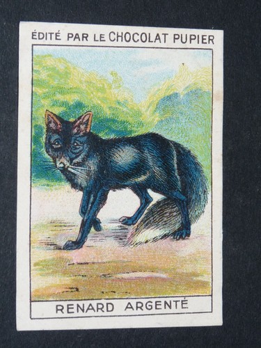 Chromo chocolat pupier 1930 - pupier,