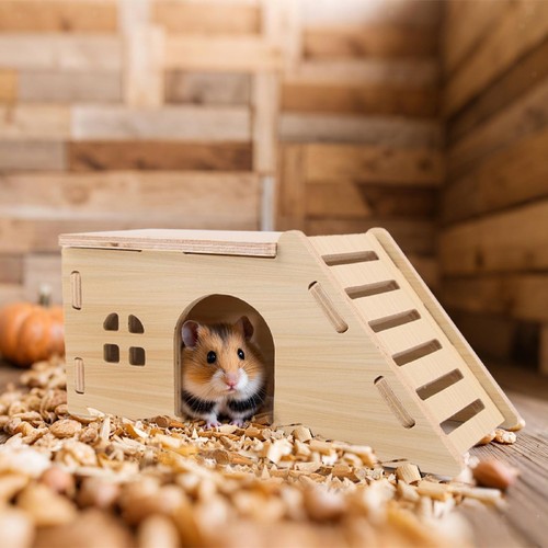 Hamster bois grimpant - hamster,