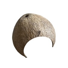 Noix coco coquilles cabane - noix,