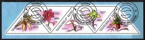 Flore fleurs orchidées - -,