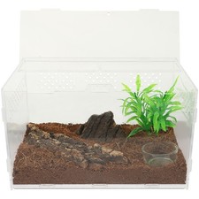  Boîte À Repas Terrarium