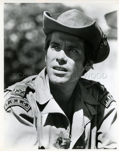 Olivier despax mercenaries - olivier,