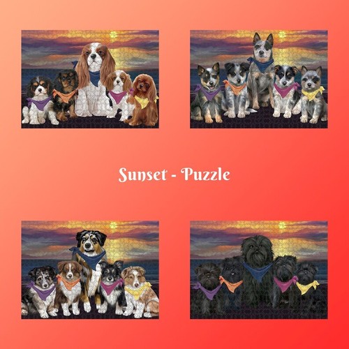 Family sunset dog cat - sunset,
