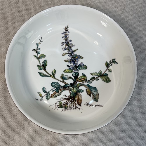 Villeroy boch botanica all - villeroy,