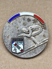 Très jolie et rare insigne