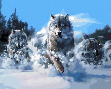 Peinture par numéros cadre en