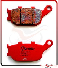 Plaquettes de Frein Arriere