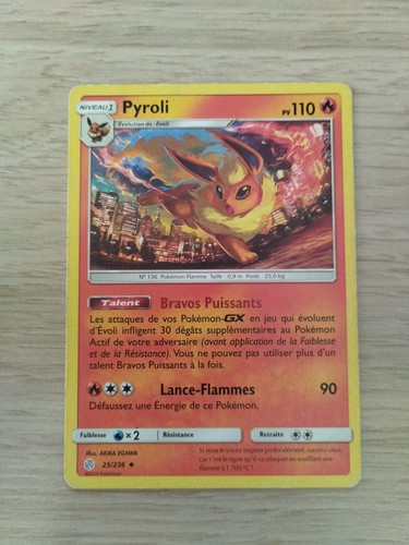 Carte pokemon pyroli - pokemon,