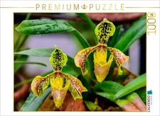 Calvendo puzzle paphiopedilum - calvendo,