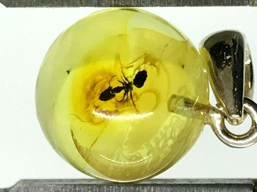 Pendentif ambre cadeau insect - pendentif,