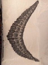 Guipure Dentelle Noire XIXe Crinoline Costume Textile Ancien Devant Corsage ?