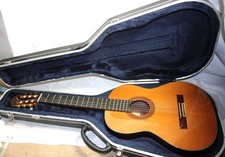 Classical Acoustic Guitar