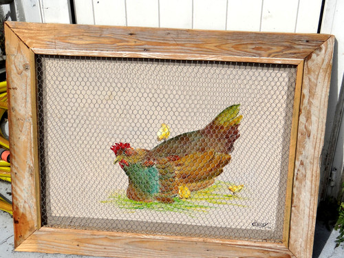 Agriculture elevage poule - agriculture,