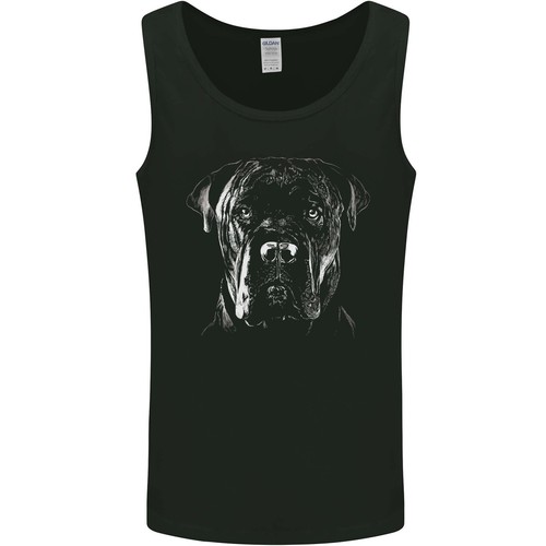 Cane corso tête - cane, tir