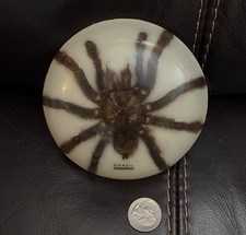 Maack Paperweight Desk Item