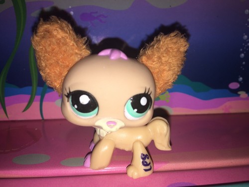 Authentic littlest petshop - littlest,