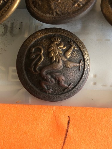 Ancien bouton lion heraldique - bouton,