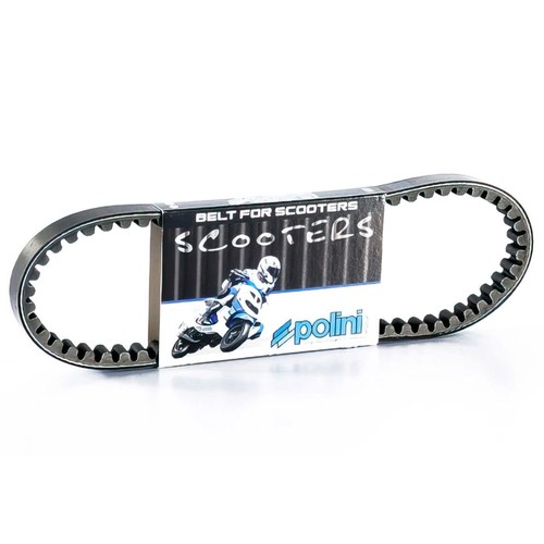 Courroie variateur polini - variateur,