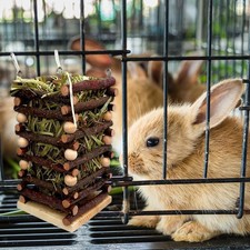 Cadre D'herbe de Lapin Cadre