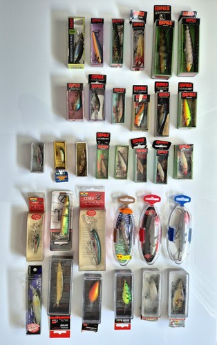 Gros lot poisson nageur - gros,