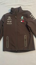 Team Mercedes AMG Formula 1