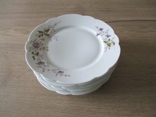 6 Assiettes plates  en