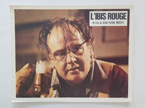 Photo ibis rouge - photo, jp