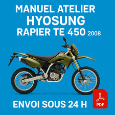 Manuel Atelier Hyosung Rapier