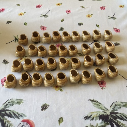 Lot coquilles escargots - 36,