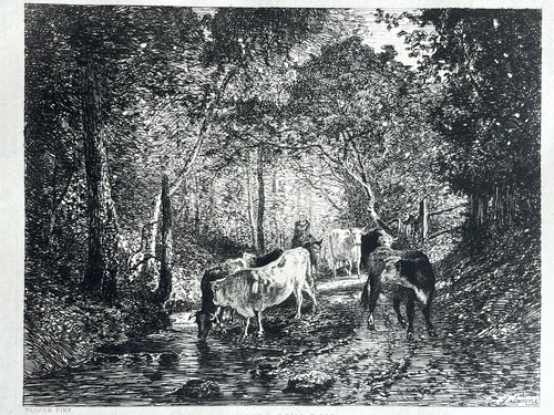Troyon lalanne gravure eau - /,