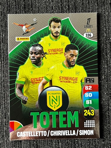 Card carte panini adrenalyn - card,