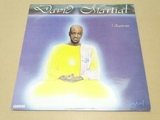 *** David Martial _ l'Aumisme *** 1990 - 33T 30cm - 30 023 // RARE