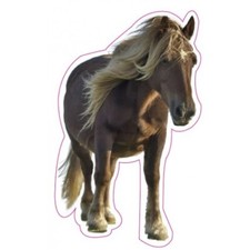 Cheval Pottok Basque logo 64