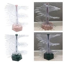 Présentoir de vernis à