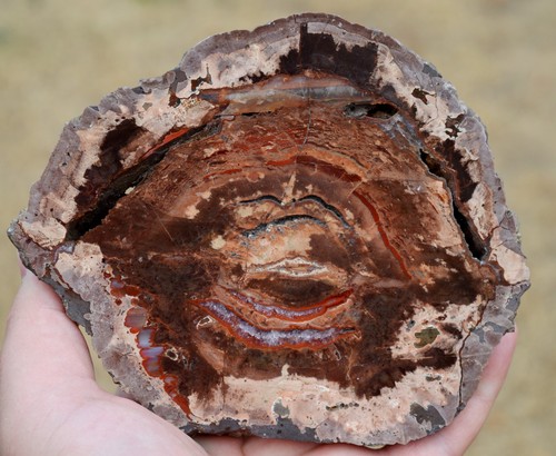 Agate quartz lithophyse - quartz, "lithophyse"