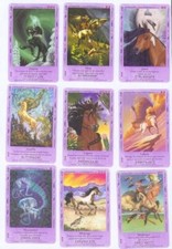 Cartes cheval / chevaux Bella