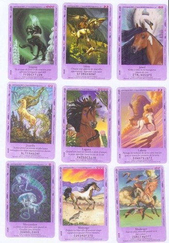 Cartes cheval chevaux bella - /,