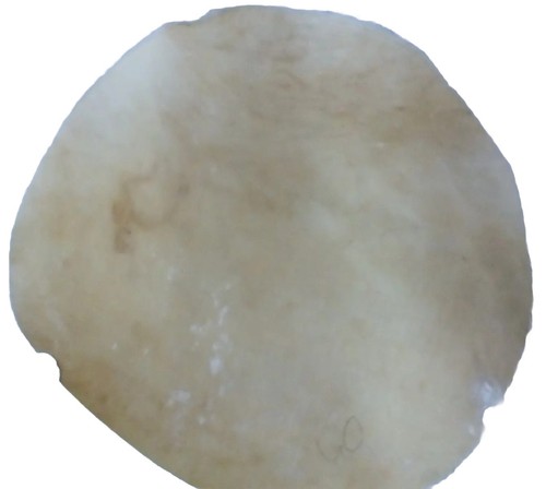 Sheep animal skin for - sheep,