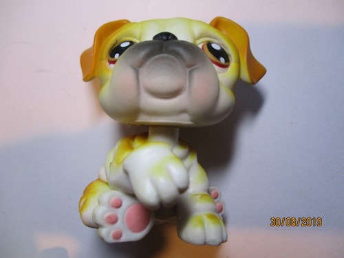 Petshop chien bouledogue - petshop, n°46