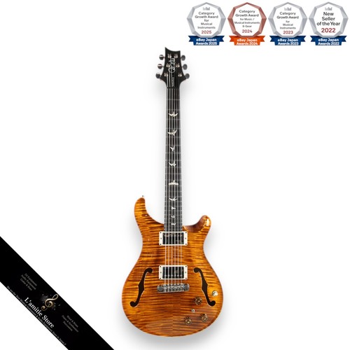 Guitare électrique prs - guitare,