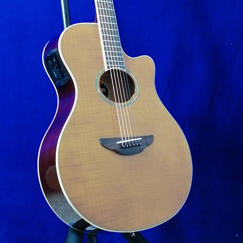 Guitare acoustique électrique