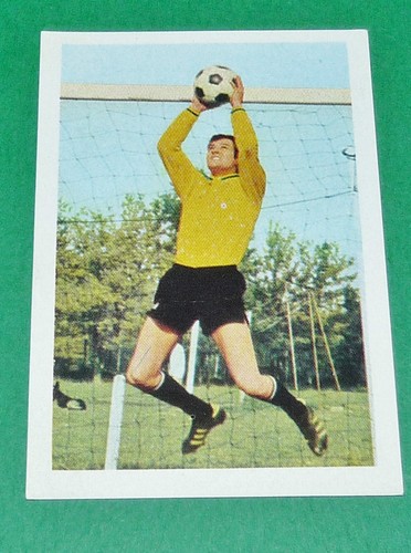 Pierre rigoni - n°69,