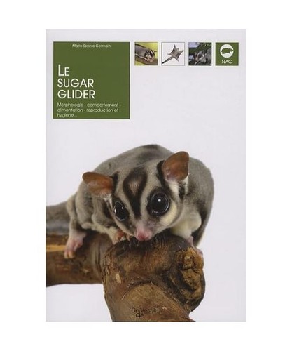 Sugar glider maxilivres - glider,,