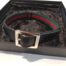 Ensemble collier pour chien