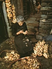 Publicité ancienne année 70/80 éplucheuse d'oignons issue de magazine