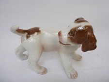 Chiot Pointer porcelaine Bing