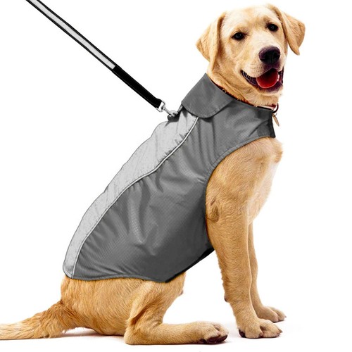 Manteau pour chien grande - chien,